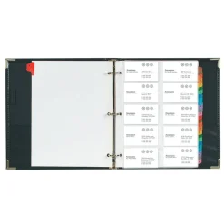 Cardinal Business Collection Card File Binder, 11 5/8