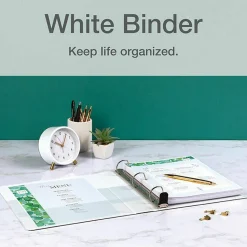 Cardinal Premier Easy Open ClearVue Locking Slant-D Ring Binder, 3 Rings, 3