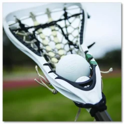 Champion Sports Bucket of Lacrosse Balls, Official Size, White, 36 Balls/Bucket
