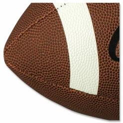 Champion Sports Pro Composite Football, Official Size, Brown