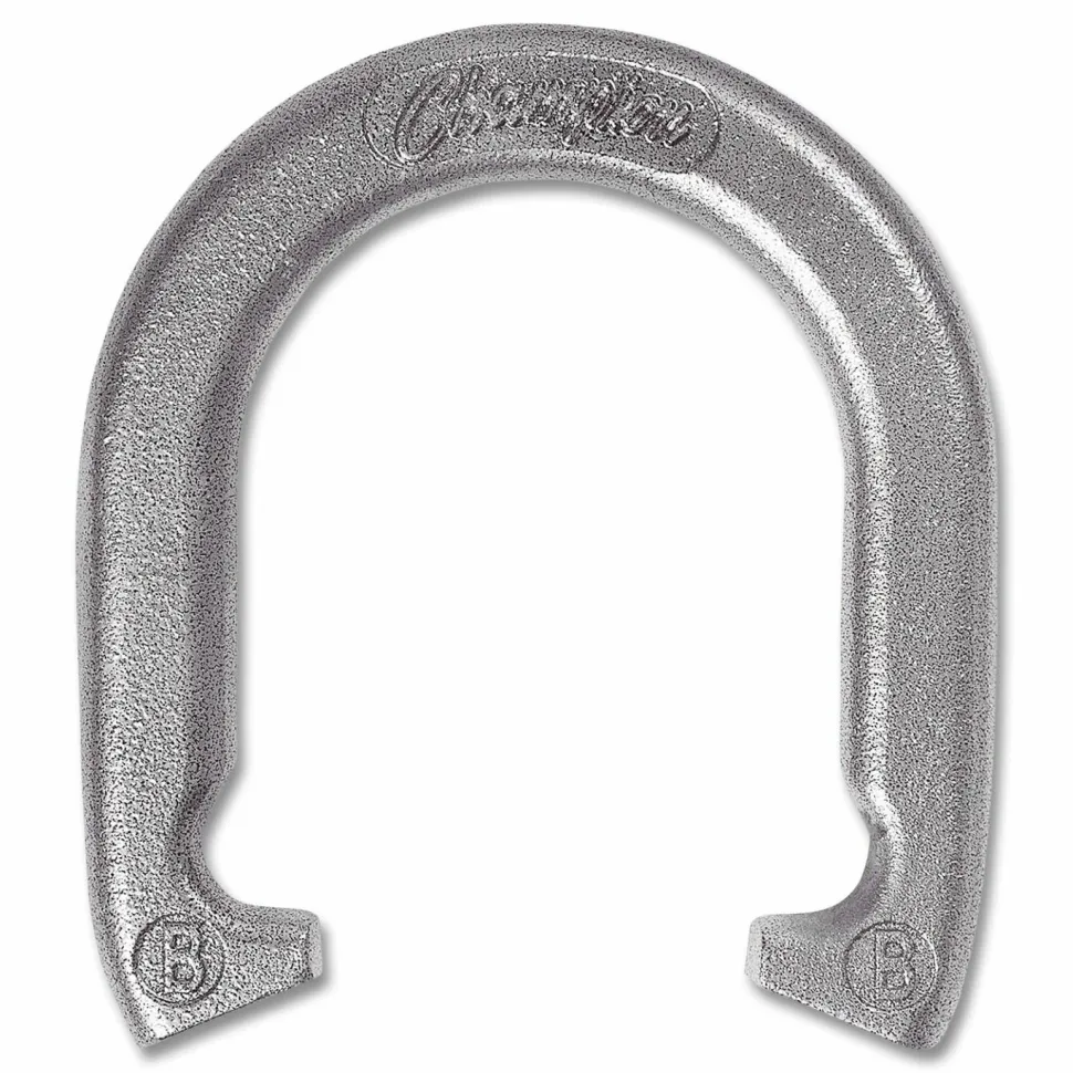 Champion Sports Steel Horseshoe Set, (4) Horseshoes/(2) 20" Stakes/Nylon Carry Bag
