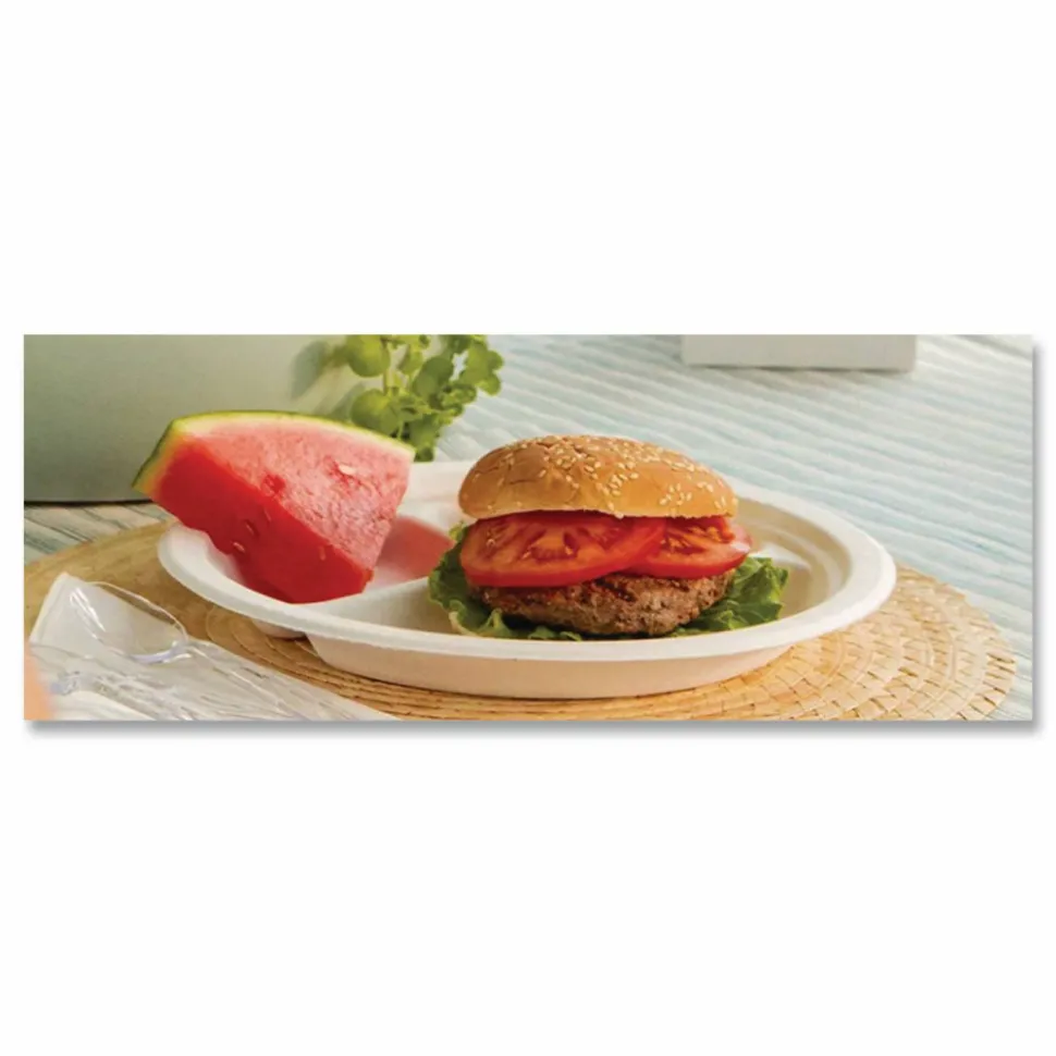 Chinet Paper Dinnerware, 3-Compartment Plate, 9.25" dia, White, 500/Carton