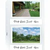 C-Line Photo Holders For Three-Ring Binders, 4" x 6", Box Of 50