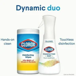Clorox Disinfecting, Sanitizing & Antibacterial