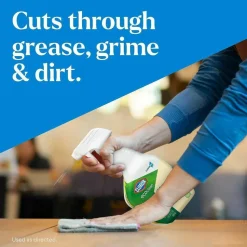 Clorox EcoClean All-Purpose Cleaner Spray
