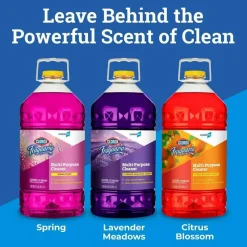 CloroxPro Fraganzia Multi-Purpose Cleaner