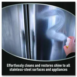 CLR Stainless Steel Cleaner, 12 oz Can, 6/Carton