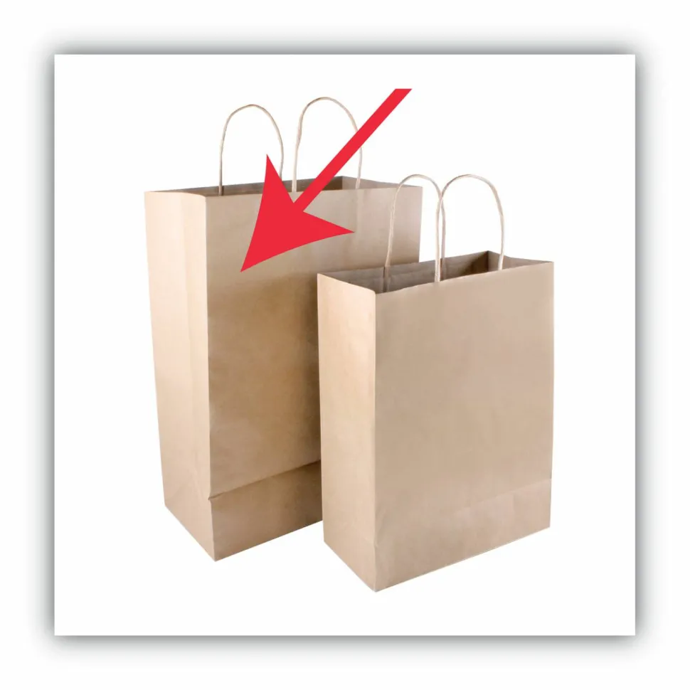 COSCO Premium Large Brown Paper Shopping Bags - 17" Length x 12" Width - Kraft - Paper - Shopping - 50/Box