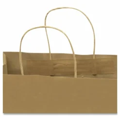 COSCO Premium Paper Shopping Bags, 10