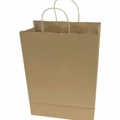 COSCO Premium Paper Shopping Bags, 10