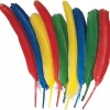 Creativity Street Quill Feathers - Multipurpose - 24 Piece(s) - Multicolor - 24 / Pack