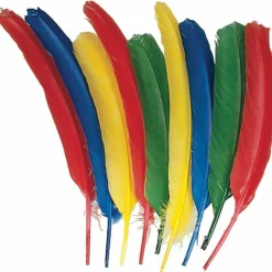 Creativity Street Quill Feathers - Multipurpose - 24 Piece(s) - Multicolor - 24 / Pack
