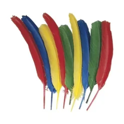 Creativity Street Quill Feathers - Multipurpose - 24 Piece(s) - Multicolor - 24 / Pack