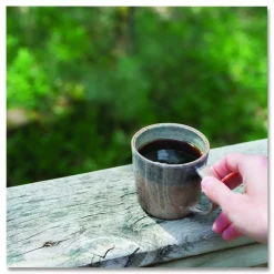 Day to Day Coffee 100% Pure Coffee, Kona Blend, Each Pack Makes 6 Cups, 42 Packs/Carton