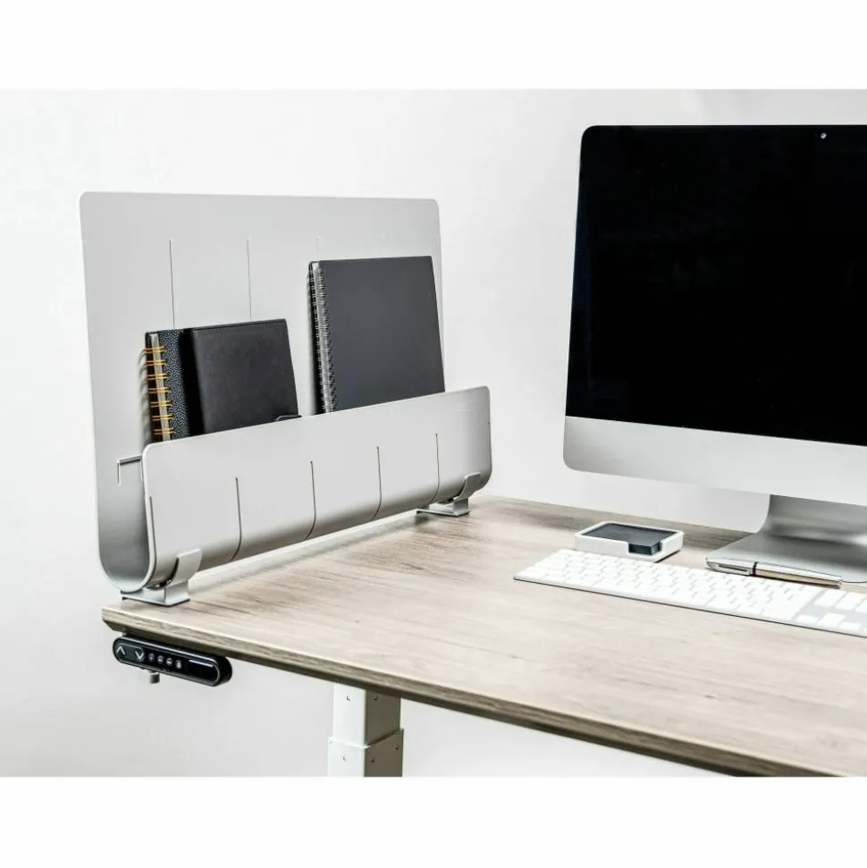 Deflecto Standing Desk Privacy Panel Organizer, Gray