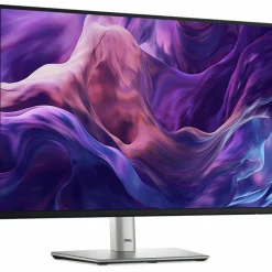 Dell P2425E 24