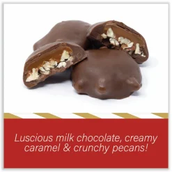 DeMet's Original Turtle Bites, Original Pecan, 1 lb, 1.5 oz Bag