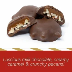 DeMet's Original Turtle Bites, Original Pecan, 1 lb, 1.5 oz Bag