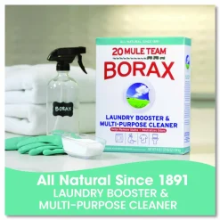 Dial 20 Mule Team Borax Laundry Booster, Powder, 4 lb Box,