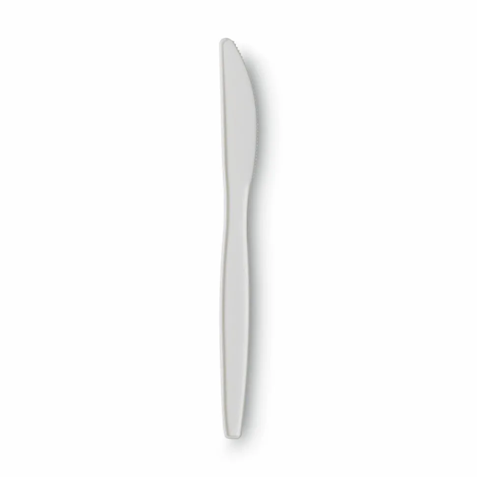 Dixie Bulk Case Plastic Knives, White, Case Of 1,000