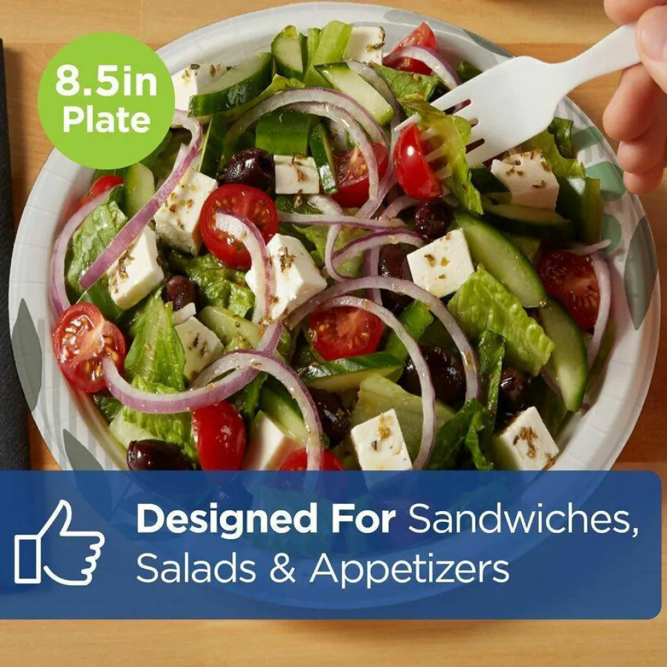 Dixie 8 1/2 in Medium-Weight Paper Plates, Pathways, 1,000 Count (125 Plates per Pack, 8 Packs per Case)