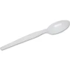 Dixie Plastic Cutlery, Heavyweight Spoon, White, 100/Box