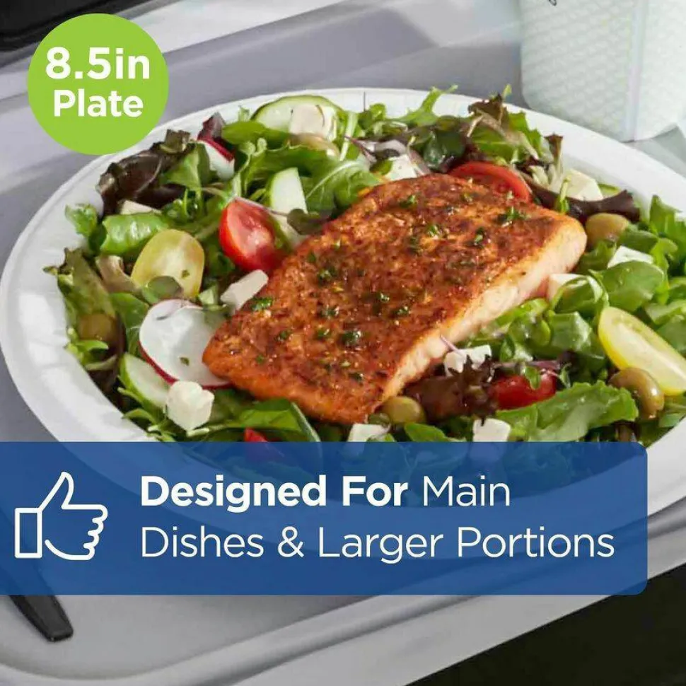 Dixie Ultra Heavy-Weight Paper Plates, 8.5" dia, 125/Pack, 4 Packs/Carton