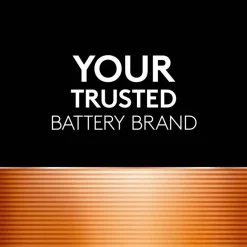 Duracell N 1.5V Specialty Alkaline Batteries, Pack of 2