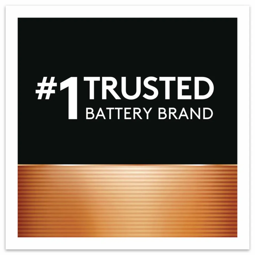 Duracell POWER BOOST Coppertop Alkaline AA Batteries, 224/Carton