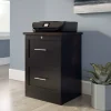 17"D Vertical 2-Drawer File Cabinet, Peppered Black