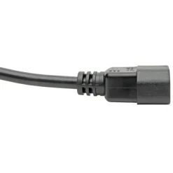 Eaton Tripp Lite Series Power Extension Cord, Locking C13 to C14 PDU Style - 10A, 250V, 18 AWG, 2 ft. (0.61 m)