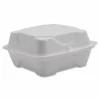 Eco-Products Vanguard Renewable and Sugarcane Clamshells, 6 x 6 x 3, White, 500/Carton