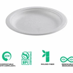 Eco-Products Vanguard Renewable and Sugarcane Plates, 6
