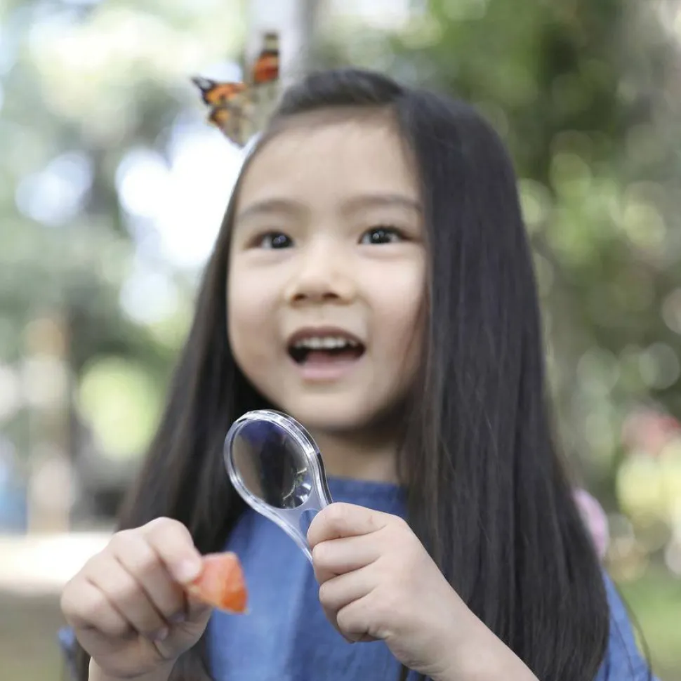 Educational Insights GeoSafari Jr. Butterfly Bungalow