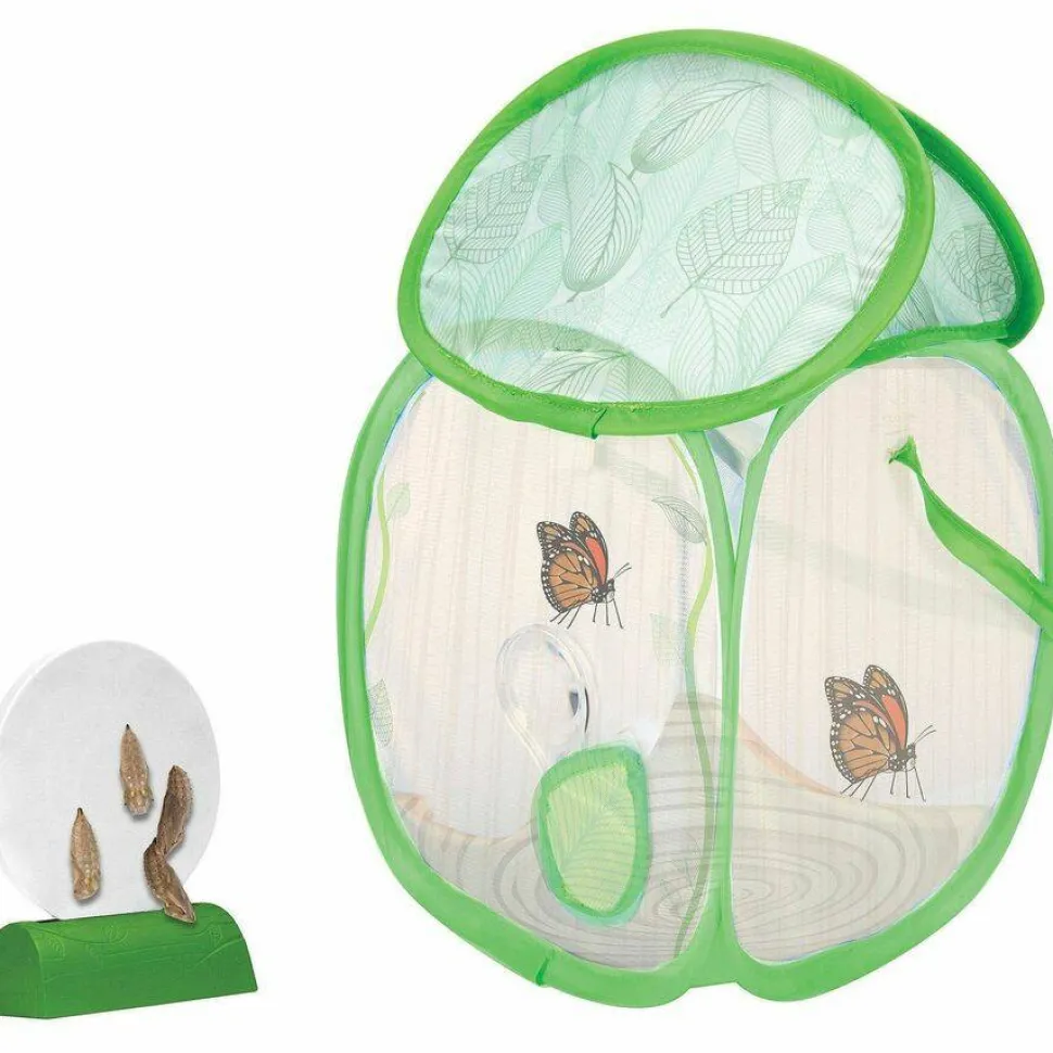 Educational Insights GeoSafari Jr. Butterfly Bungalow