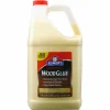 Elmer's Carpenter Wood Glue, 1 gal, Dries Beige