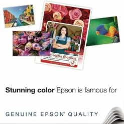Epson Premium Photo Paper, 10.4 mil, 8 x 10, High-Gloss Bright White, 20/Pack