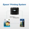 Epson 822XL DuraBrite Black High-Yield Ink Cartridge, T822XL120-S