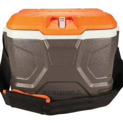 ergodyne Chill-Its 5170 17-Quart Industrial Hard Sided Cooler, Orange/Gray