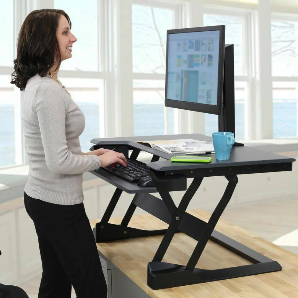 Ergotron WorkFit Lift for LCD Display, Monitor, Workstation