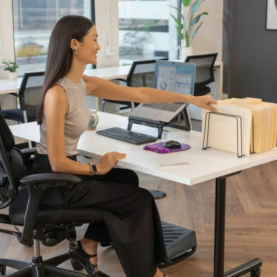 Fellowes File Organizer, Black