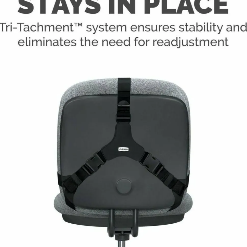 Fellowes Professional Series Back Support with Microban Protection, Black