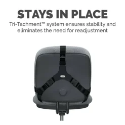 Fellowes Professional Series Back Support with Microban Protection, Black