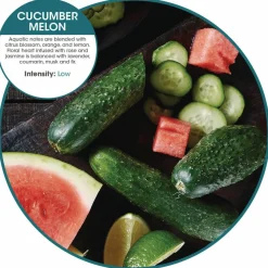 Fresh Products myfresh Refills, Cucumber Melon, 36/Carton