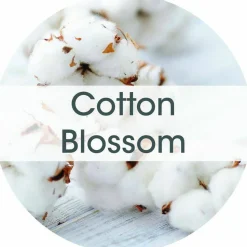 Fresh Products ourfreshE Refills, Cotton Blossom, 6/Box, 6 Boxes/Carton