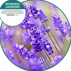 Fresh Products ourfreshE Refills, Morning Lavender, 6/Box