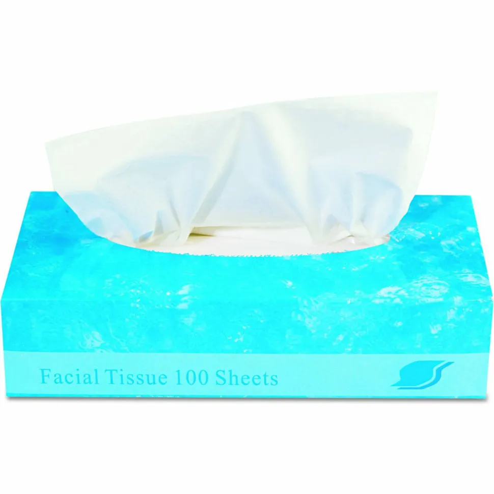 GEN Boxed Facial Tissue, 2-Ply, White, 100 Sheets/Box, 30 Boxes/Carton