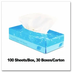 GEN Boxed Facial Tissue, 2-Ply, White, 100 Sheets/Box, 30 Boxes/Carton