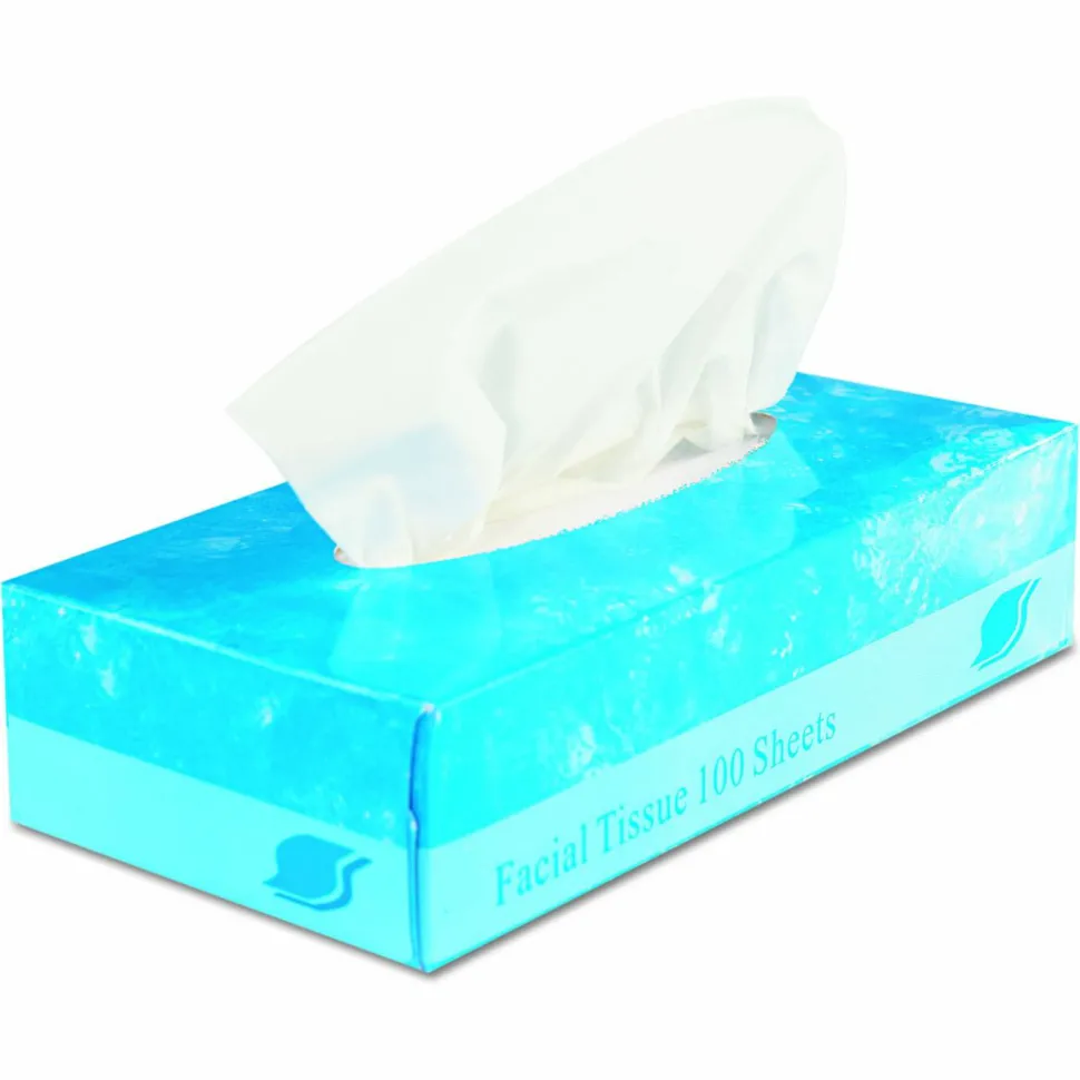 GEN Boxed Facial Tissue, 2-Ply, White, 100 Sheets/Box, 30 Boxes/Carton
