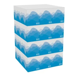 Georgia-Pacific Preference Facial Tissue, 100 Sheets Per Box